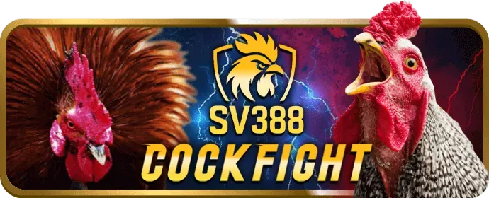 Sự kiện bắn cá new66 bet